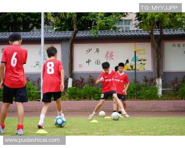 崭露头角的新一代足球明星与未来之星的崛起分析